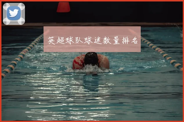 英超球队球迷数量排名