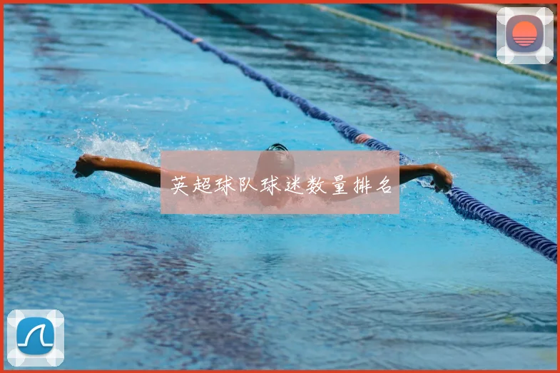 英超球队球迷数量排名